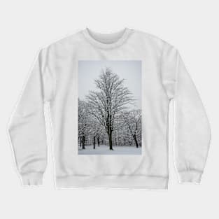 King of the Park Crewneck Sweatshirt